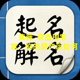 紫薇  命盘田宅  宫：你的房产运如何